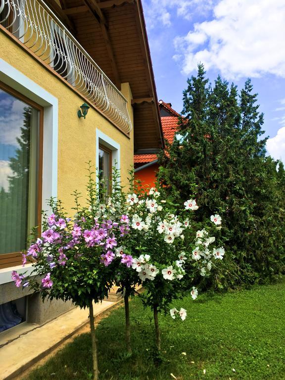 Petra Apartmanhaz Бадачоньтомай Экстерьер фото